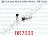 Двухступенчатые регуляторы давления DR2000 