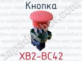 Кнопка XB2-BC42 